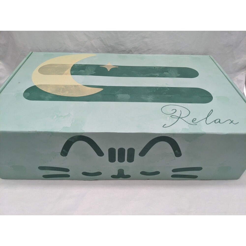 **EMPTY BOX** Spring 2021 Exclusive Pusheen Box 15" X 9 1/2" X 4 1/4"